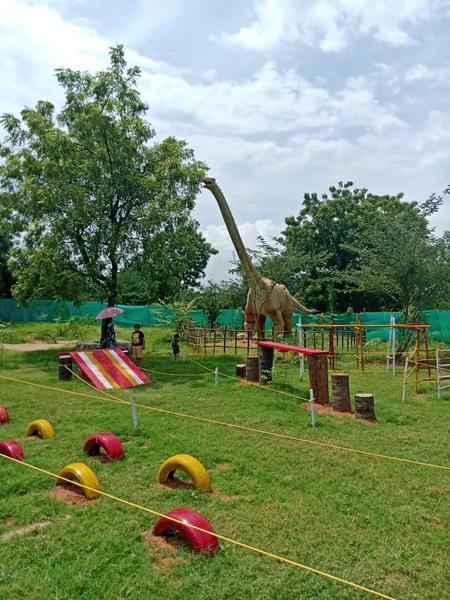 Playground area with activities at Park.