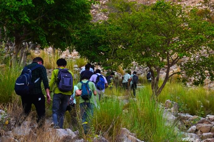 Trek 11 km to Guthirayan Peak through forested hill trails