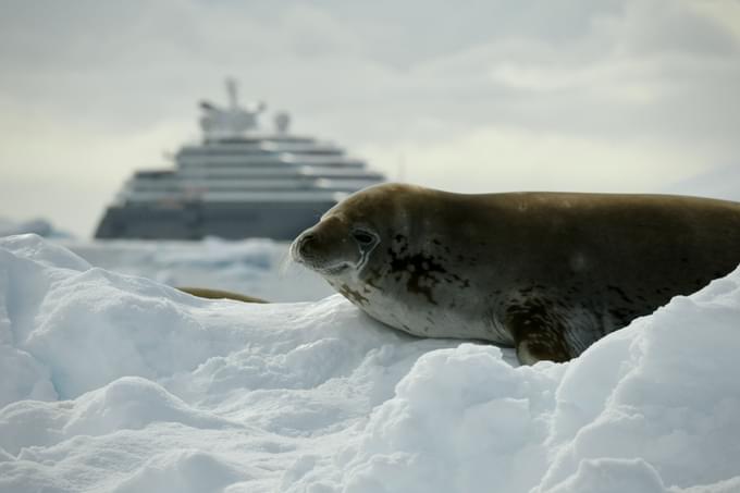 Antarctica Cruises