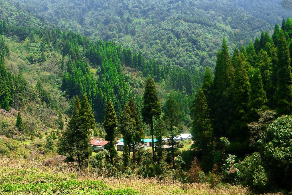 Gorkhey Khola Village Overview