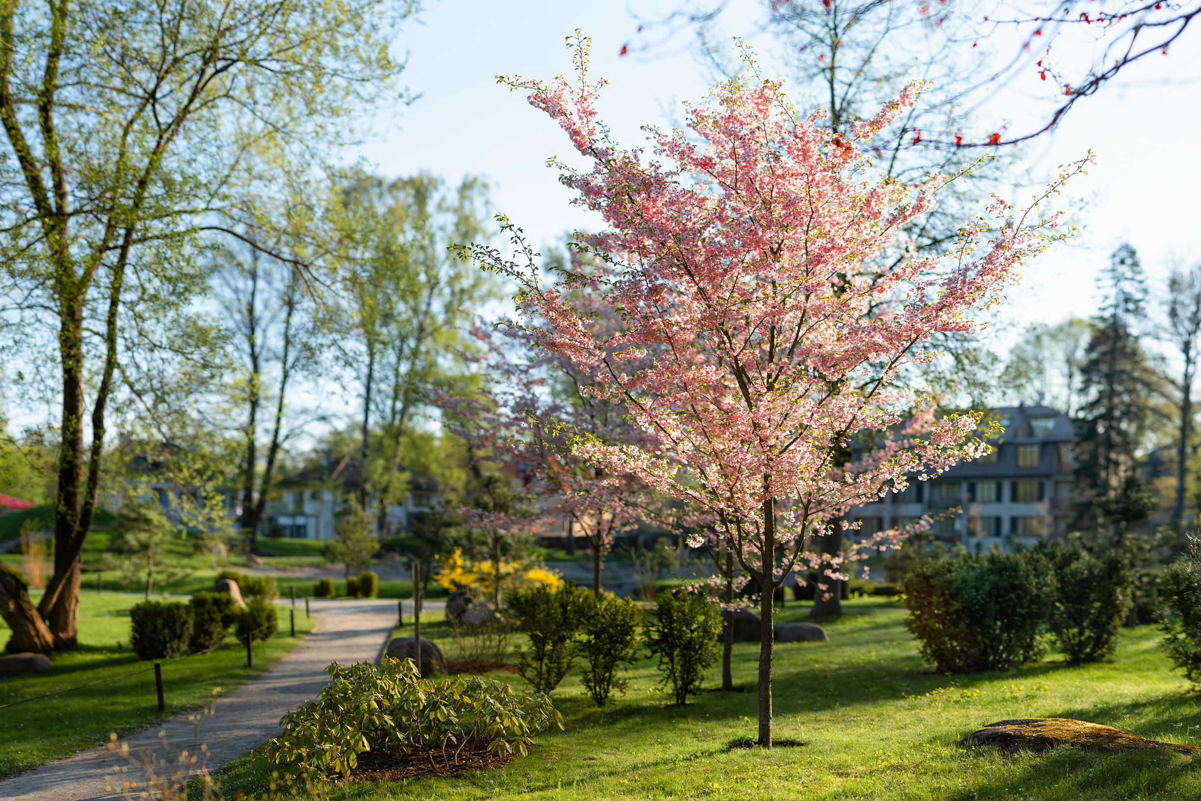 Take a leisure walk in the Japanese Garden