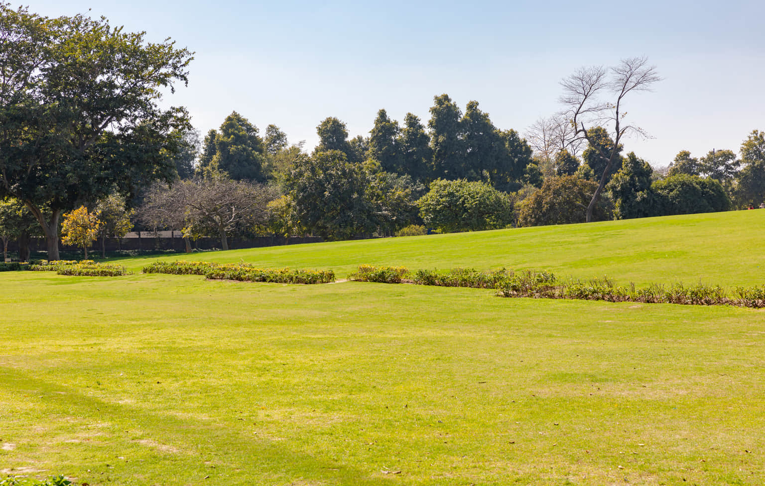 Mahatma Gandhi Park , <em>Ethiopia</em>