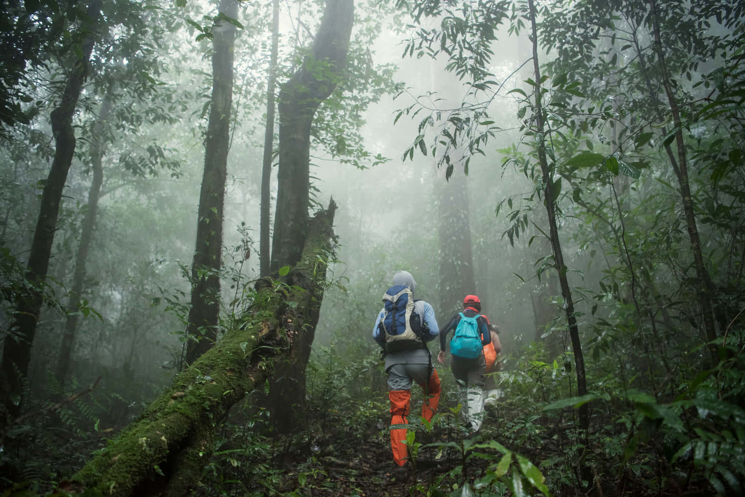 Trek and Treat Offbeat Village Experience In Andro Imphal
