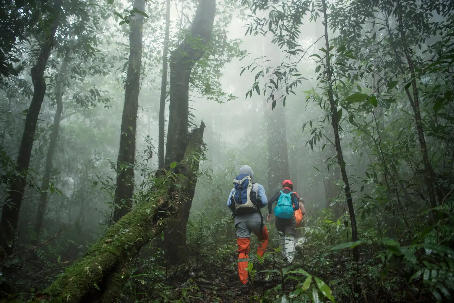 Trek and Treat Offbeat Village Experience In Andro Imphal