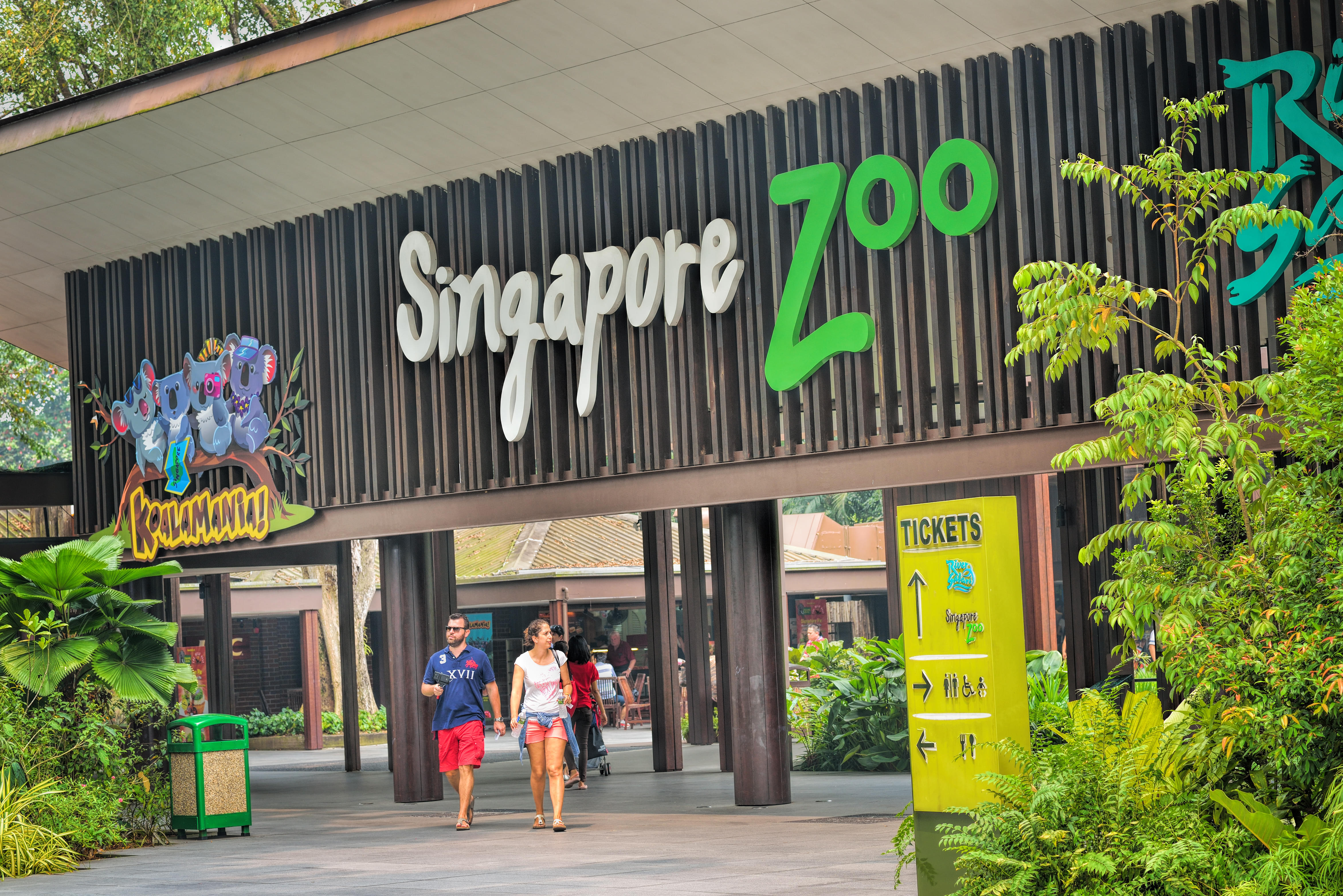 Singapore Zoo and River Safari Combo