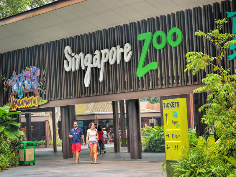Singapore Zoo and River Safari Combo