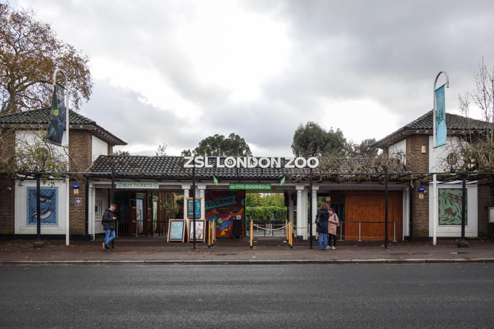 Meet Animals At Zsl London Zoo