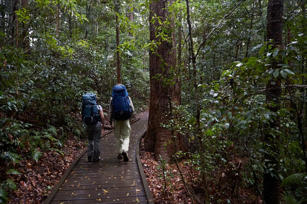 Tamborine Mountain