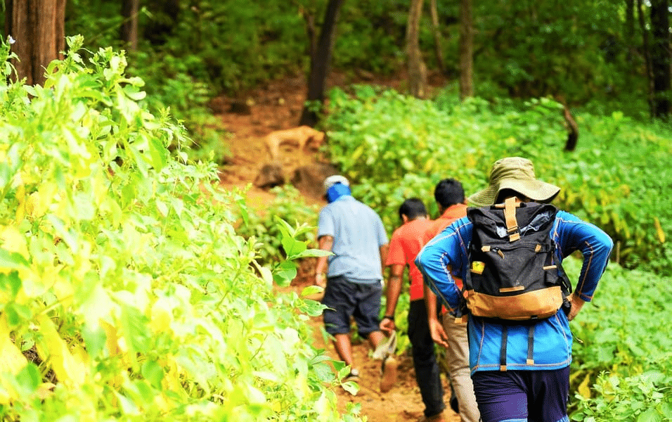 Best Monsoon Treks Tours