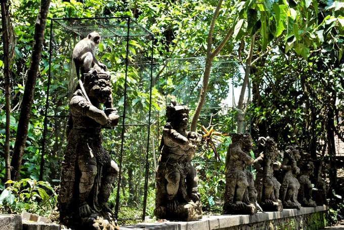 Things to Do in Ubud Monkey Forest