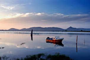 19fxwr25xhrg8y6gid5mkkmpk9x8 1591272106 shutterstock 1078131647