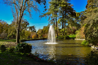 19ruae22bkfrrvbz0cghepz56ddl shutterstock 1923766733