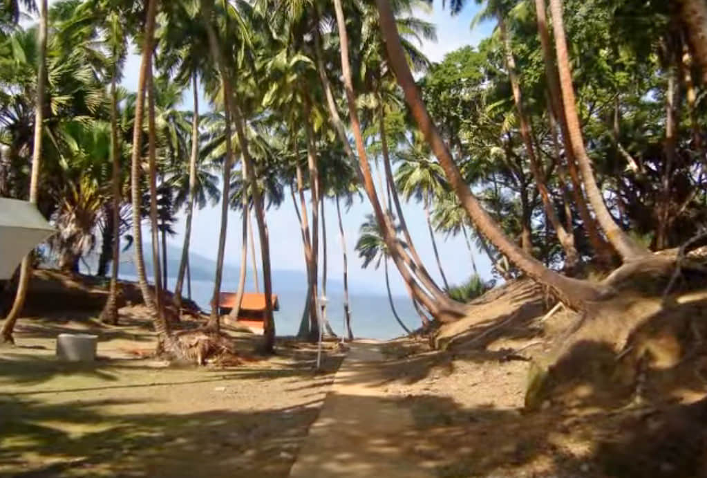 Photo from Anjali Malik's trip
