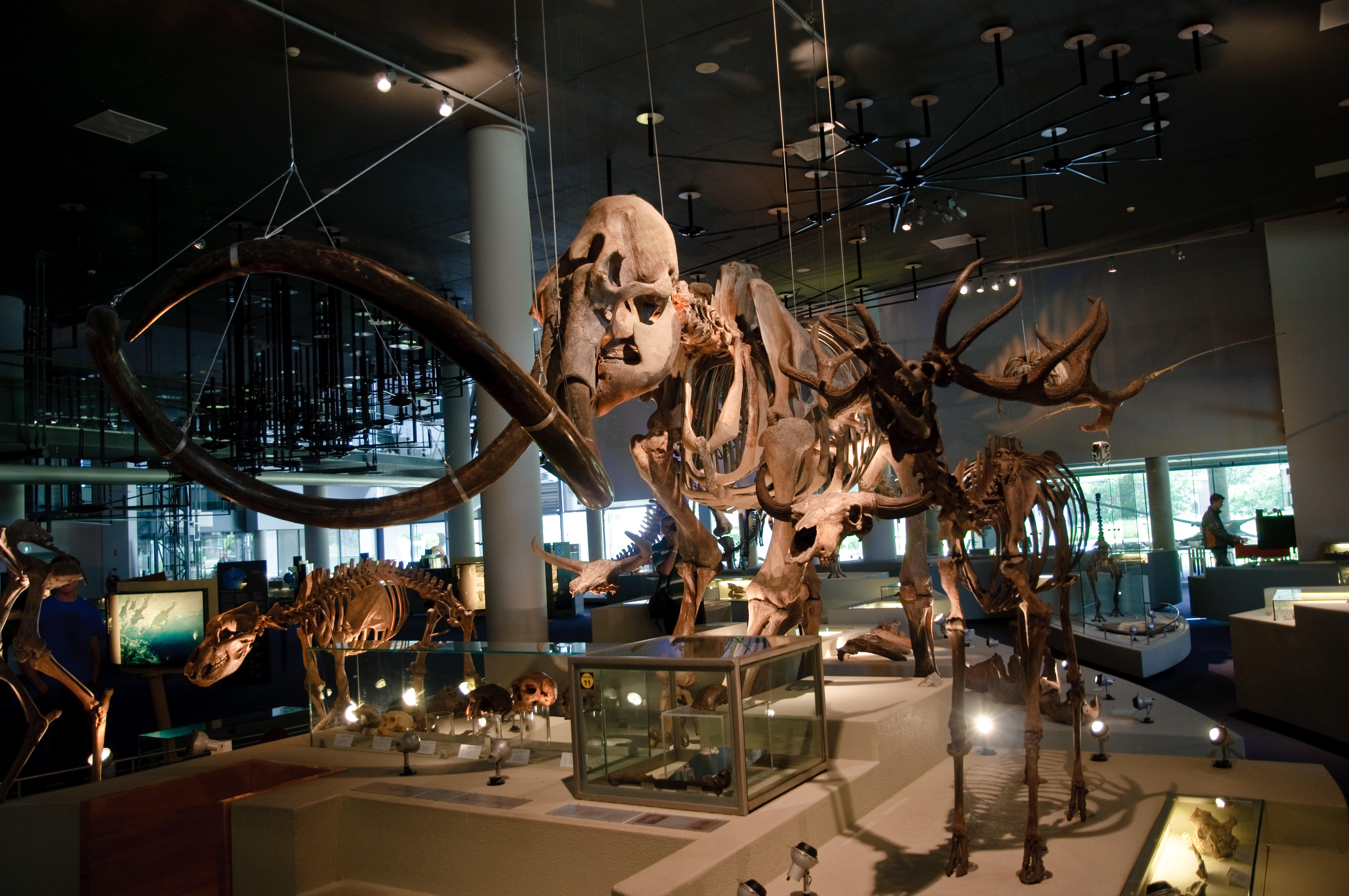 Explore the Museum of the History of Science