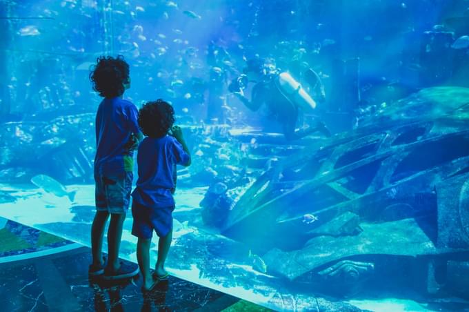 Dubai Aquarium and Underwater Zoo