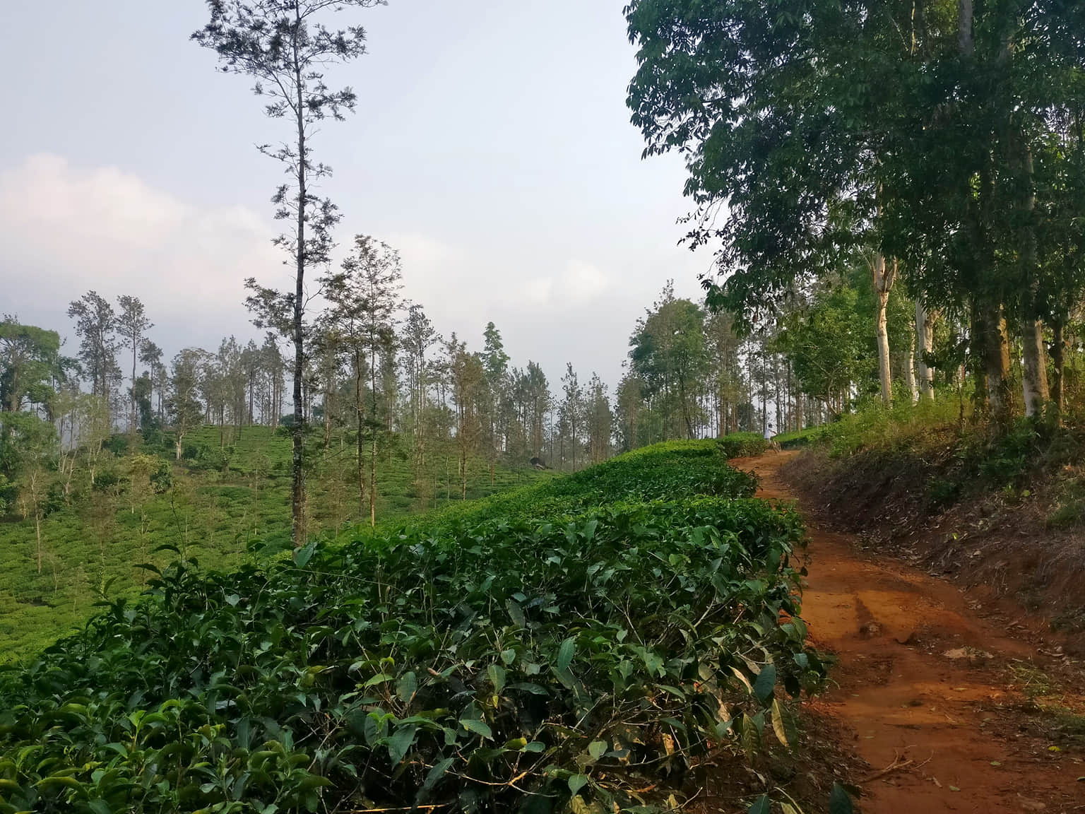Photo from Deepak Sachdeva's trip