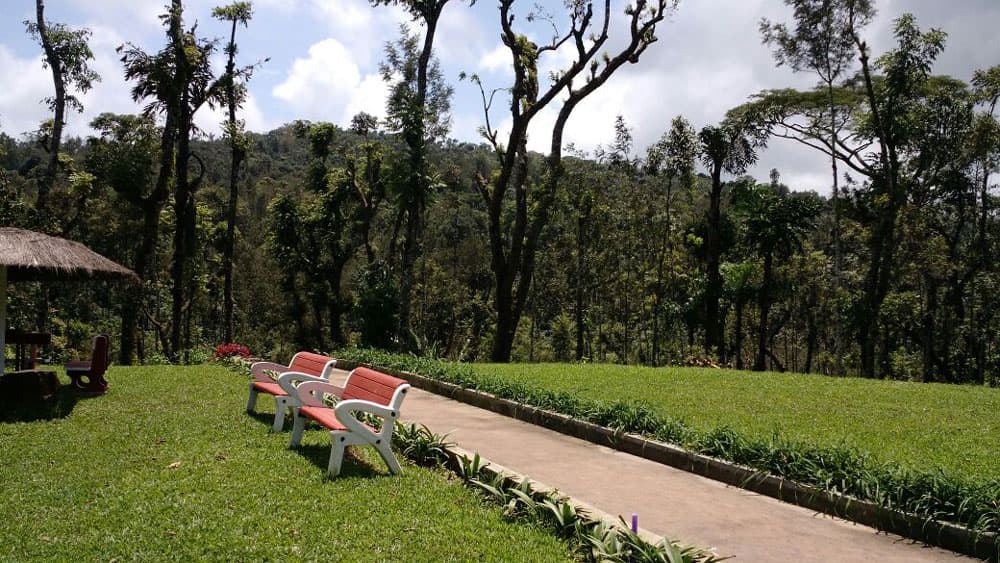 Moon Mist Homestay, Chikmagalur Image