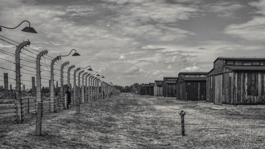 Discovering Auschwitz