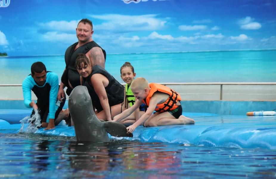 Pattaya Dolphin World Tickets Image