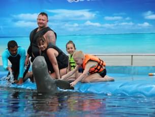 Pattaya Dolphin World Tickets