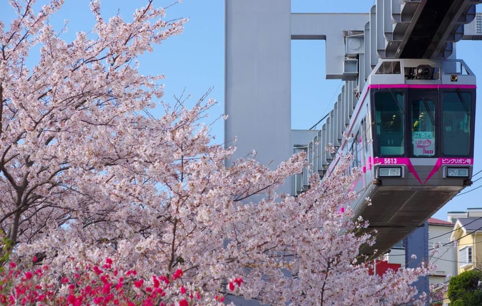 Shonan Monorail Ticket, Tokyo Image