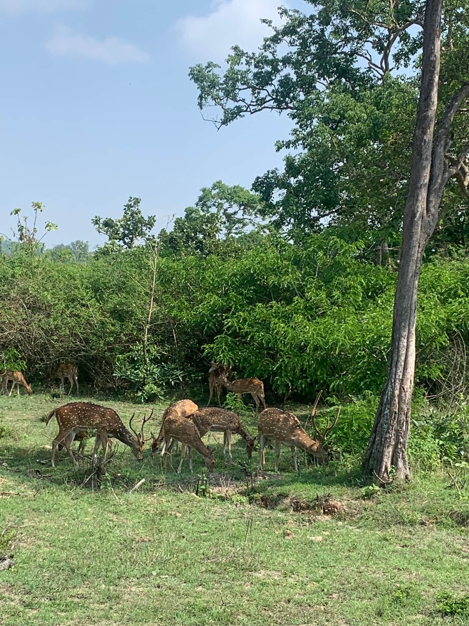 Photo from Shishira Naik's trip