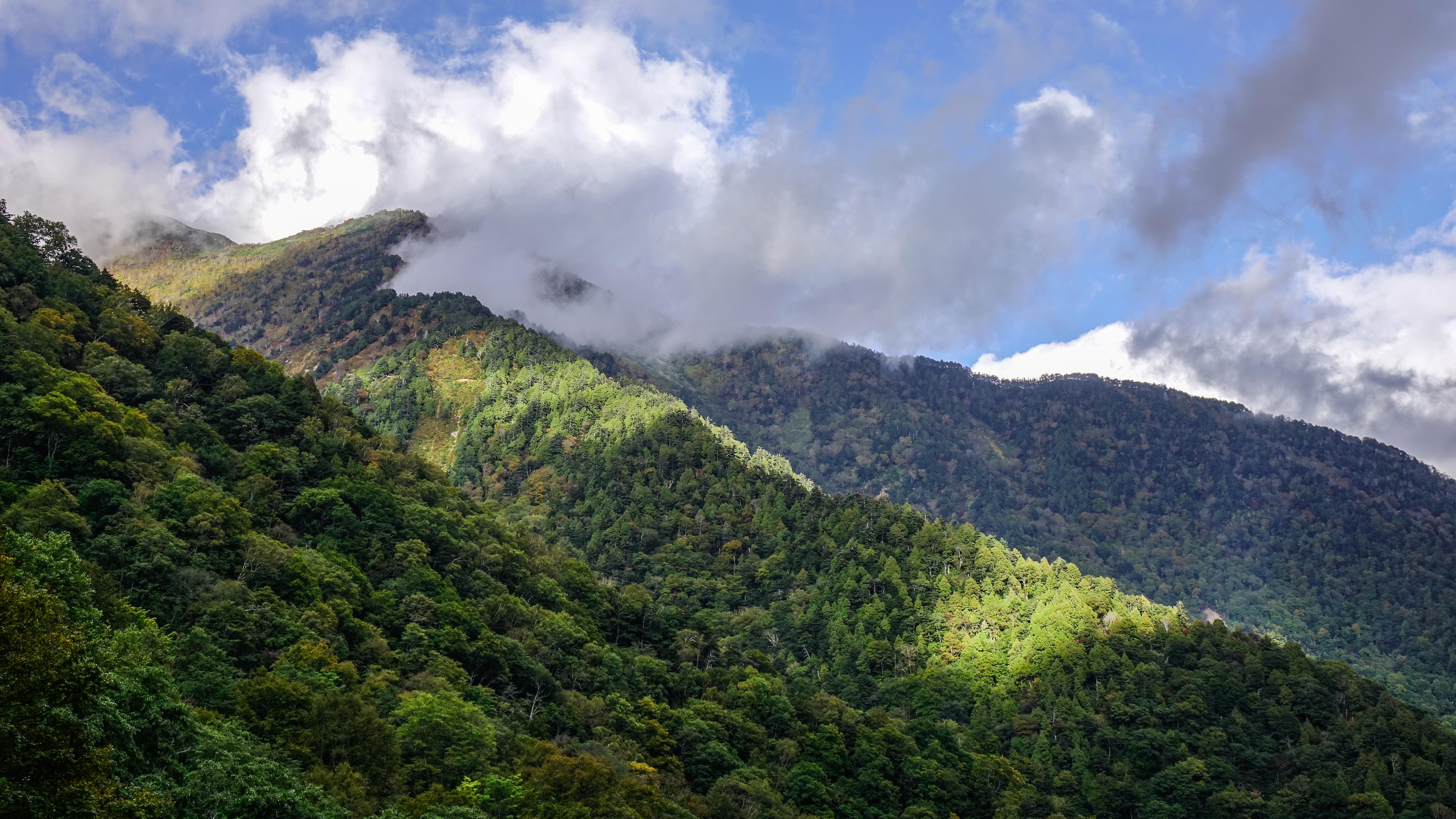 Trails of Uttarakhand | Exploring Misty Mountains and Wilderness