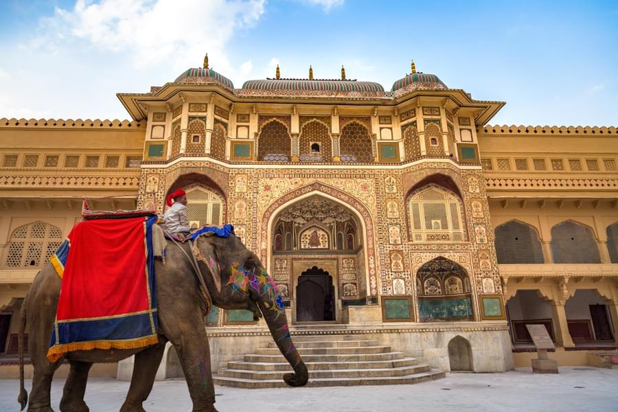 Jaipur Ajmer Pushkar | FREE Camel Ride Tickets Image