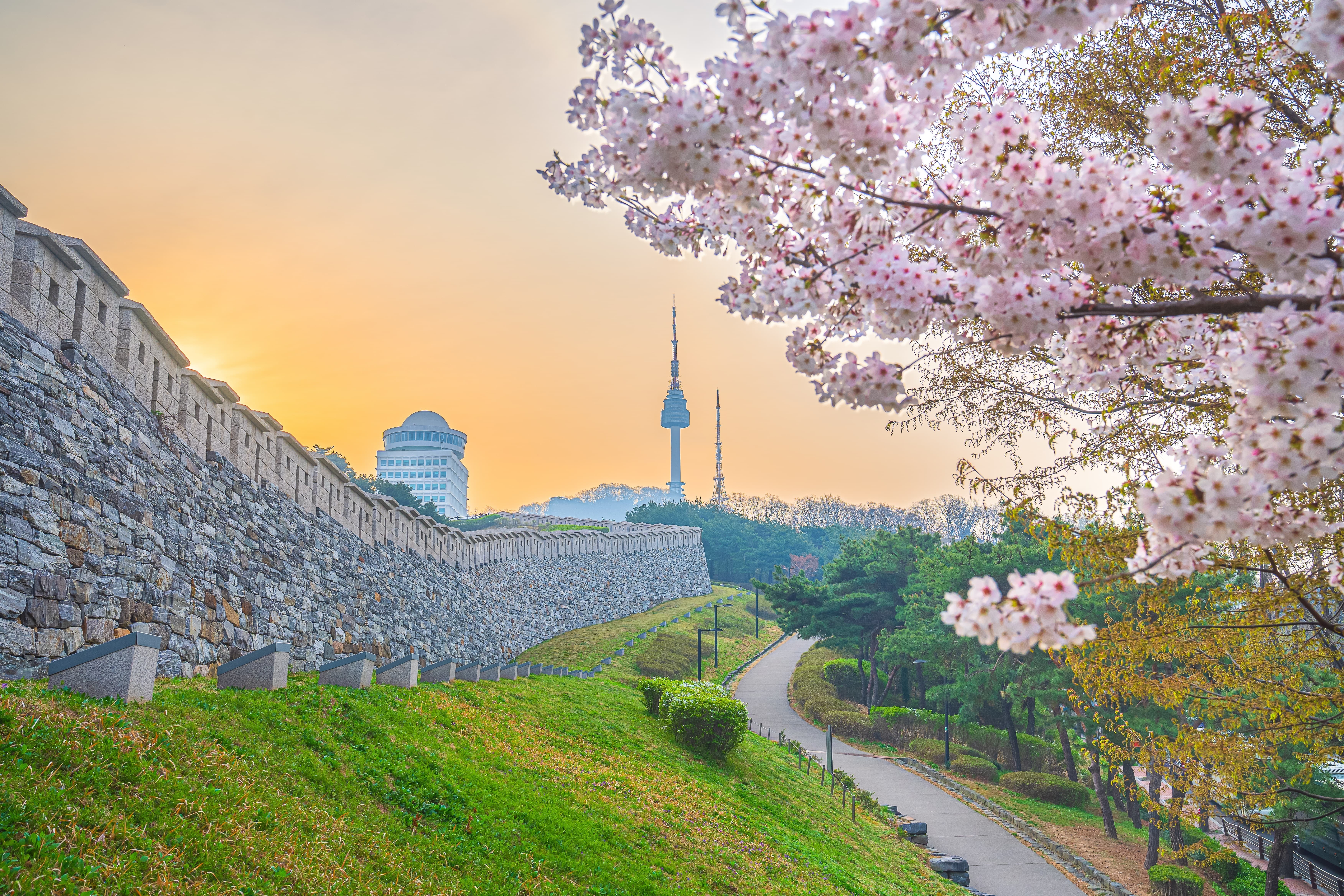 Winter Magic South Korea Getaway | Seoul's Best Experiences in One