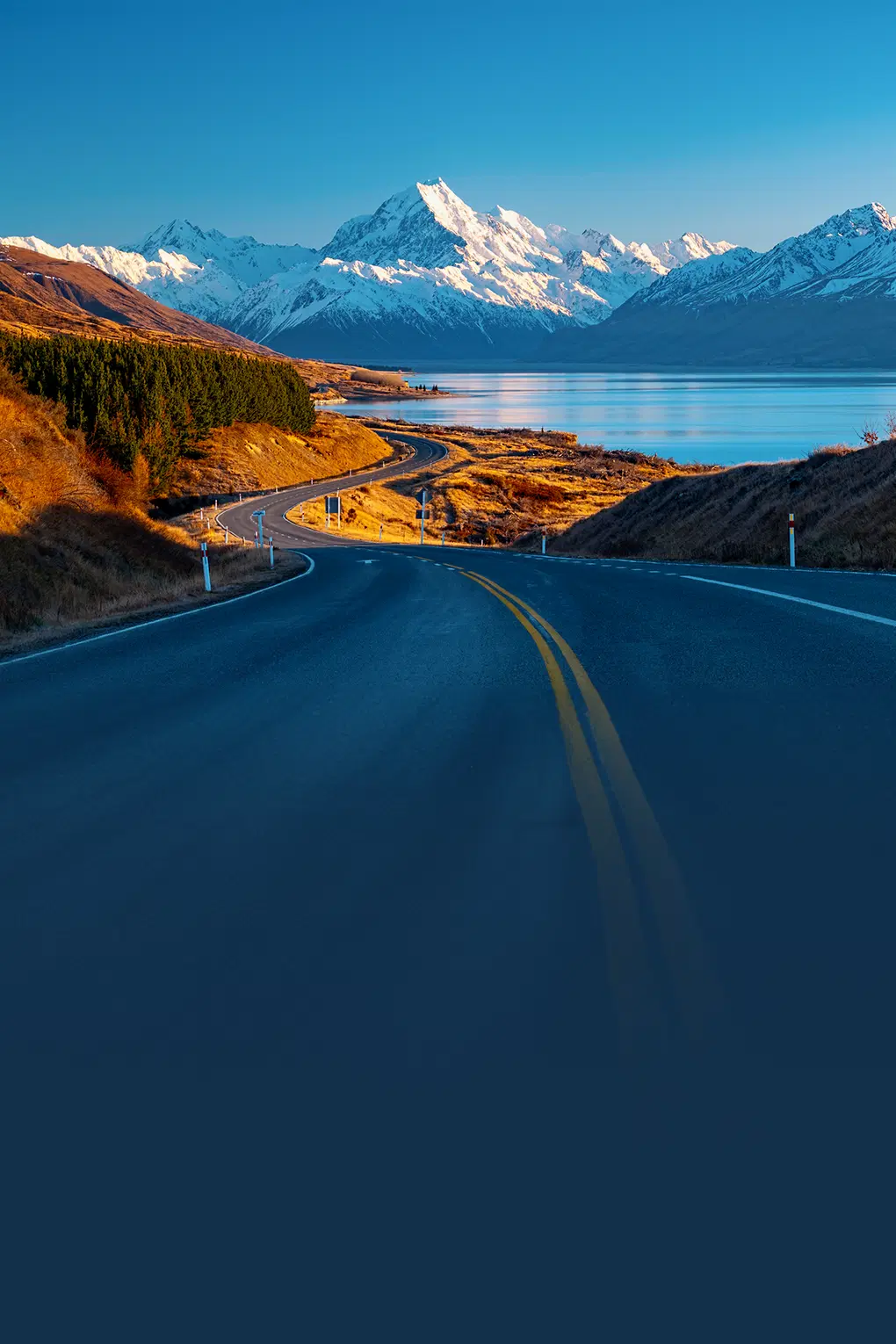North & South New Zealand with FREE Redwood Tree Walking Experience