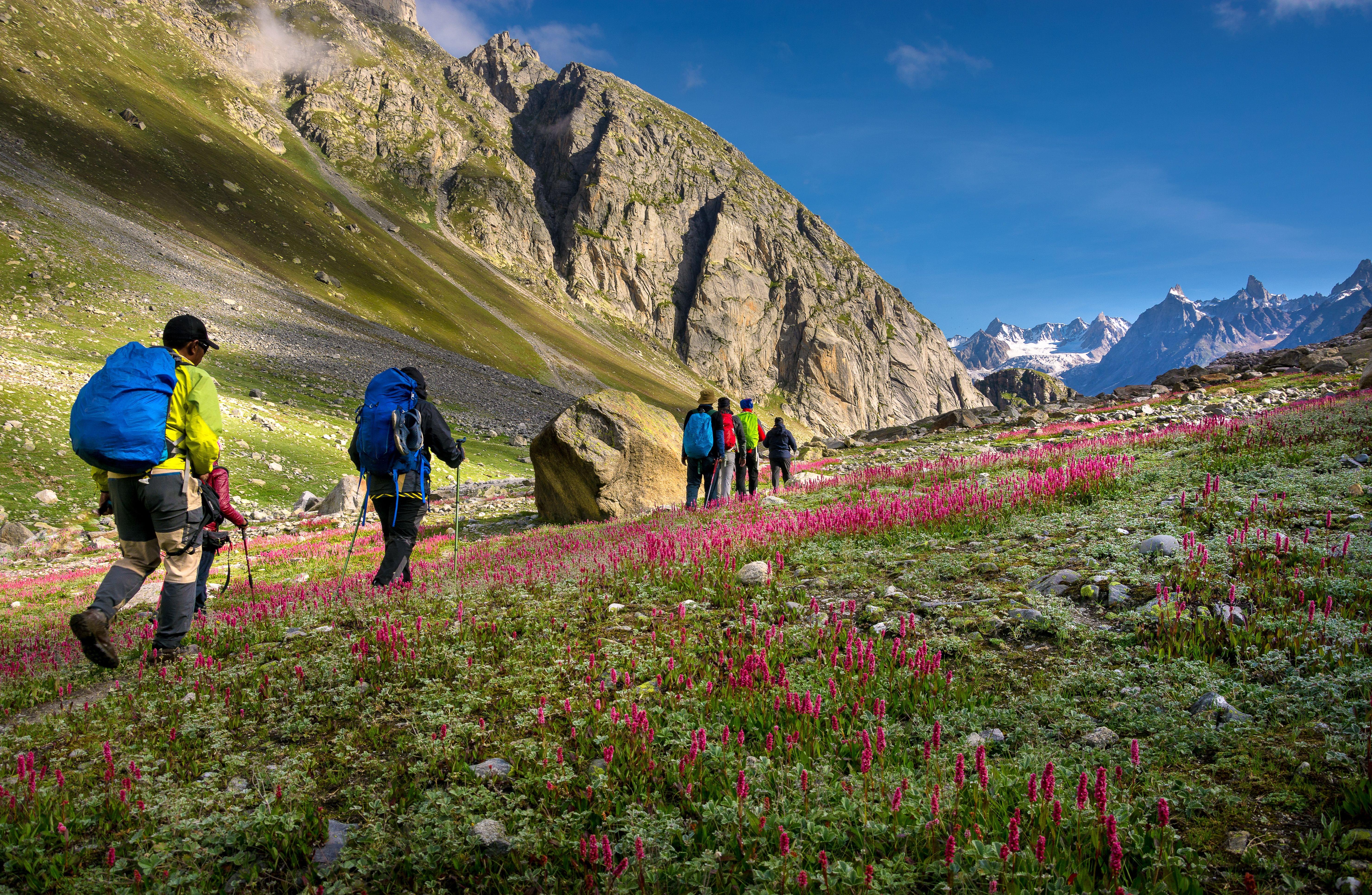 Hampta Pass Trek