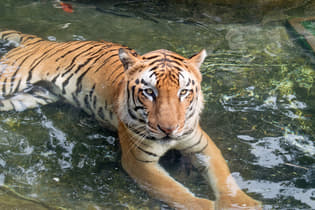 1cs0jlhnrypy19jxbq7kokica4v8 1589289432 shutterstock 1132022612