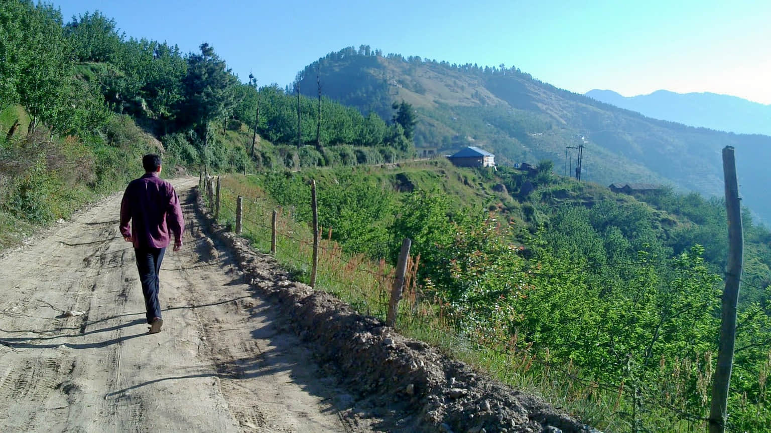 Kiala Forest, <em>Shimla</em>