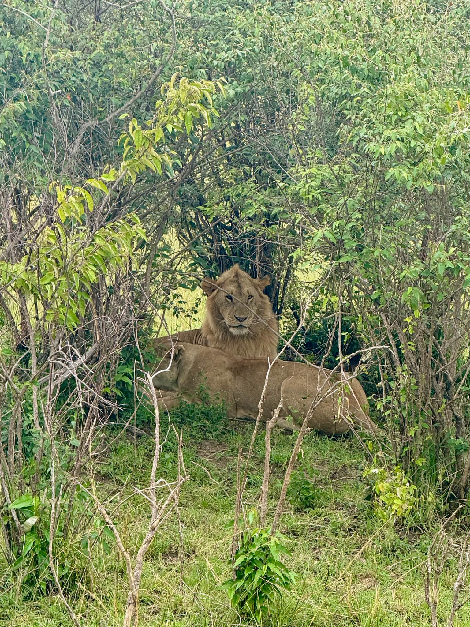 Photo from Arpita Rai's trip