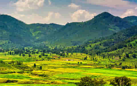 Araku Valley Tour Packages
