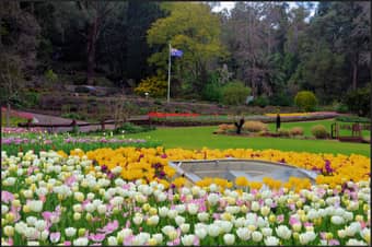 Welcome to the Araluen Botanic Park