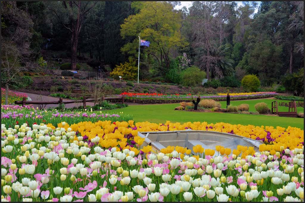 Araluen Botanic Park Tour, Perth