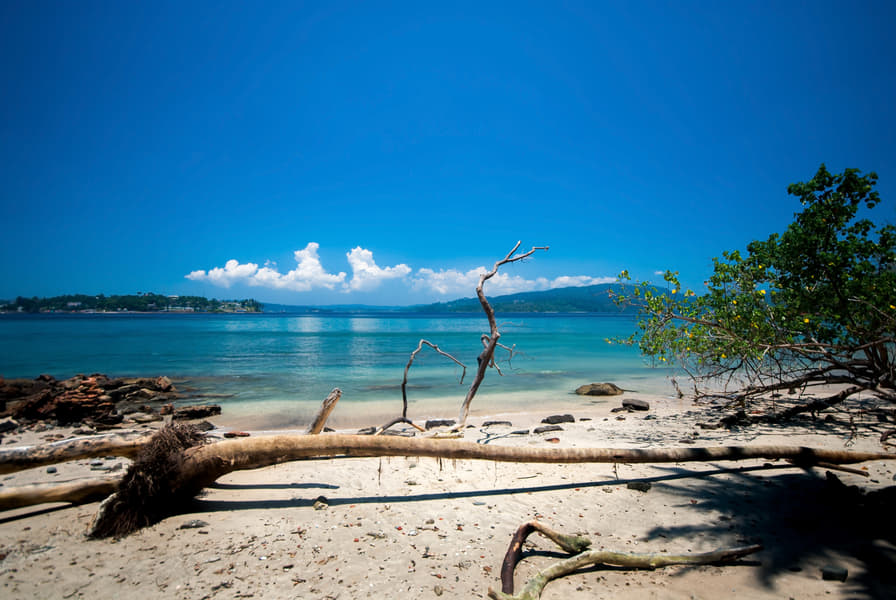Tour Around Ross Bay And North Bay In Andaman Image