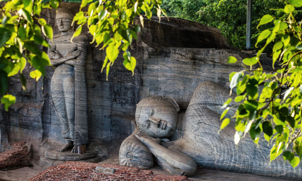 Day Excursion to Mineriya and Polonnaruwa Image