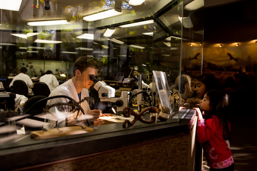 La Brea Tar Pits Tickets Image