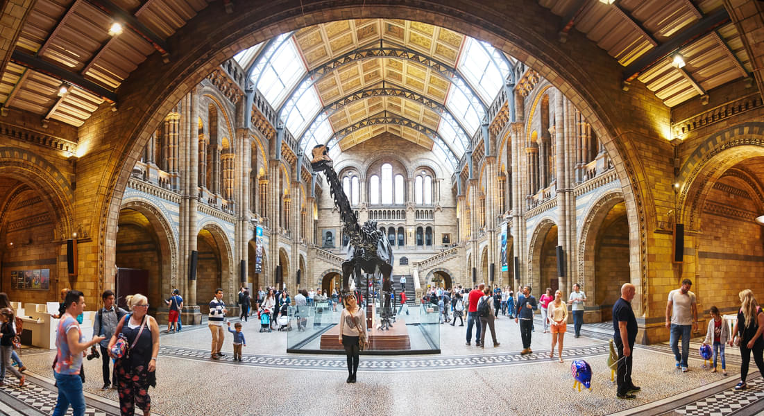 Natural History Museum London Image