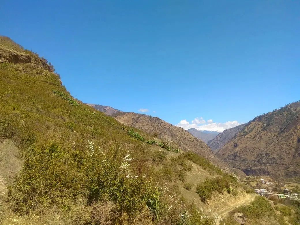 Photo from suman pal's trip