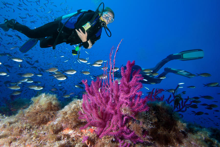Scuba Diving in Nusa Penida Image