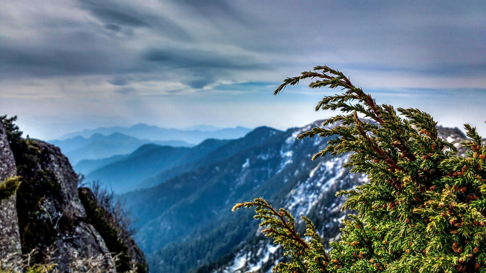 Churdhar Peak Overview