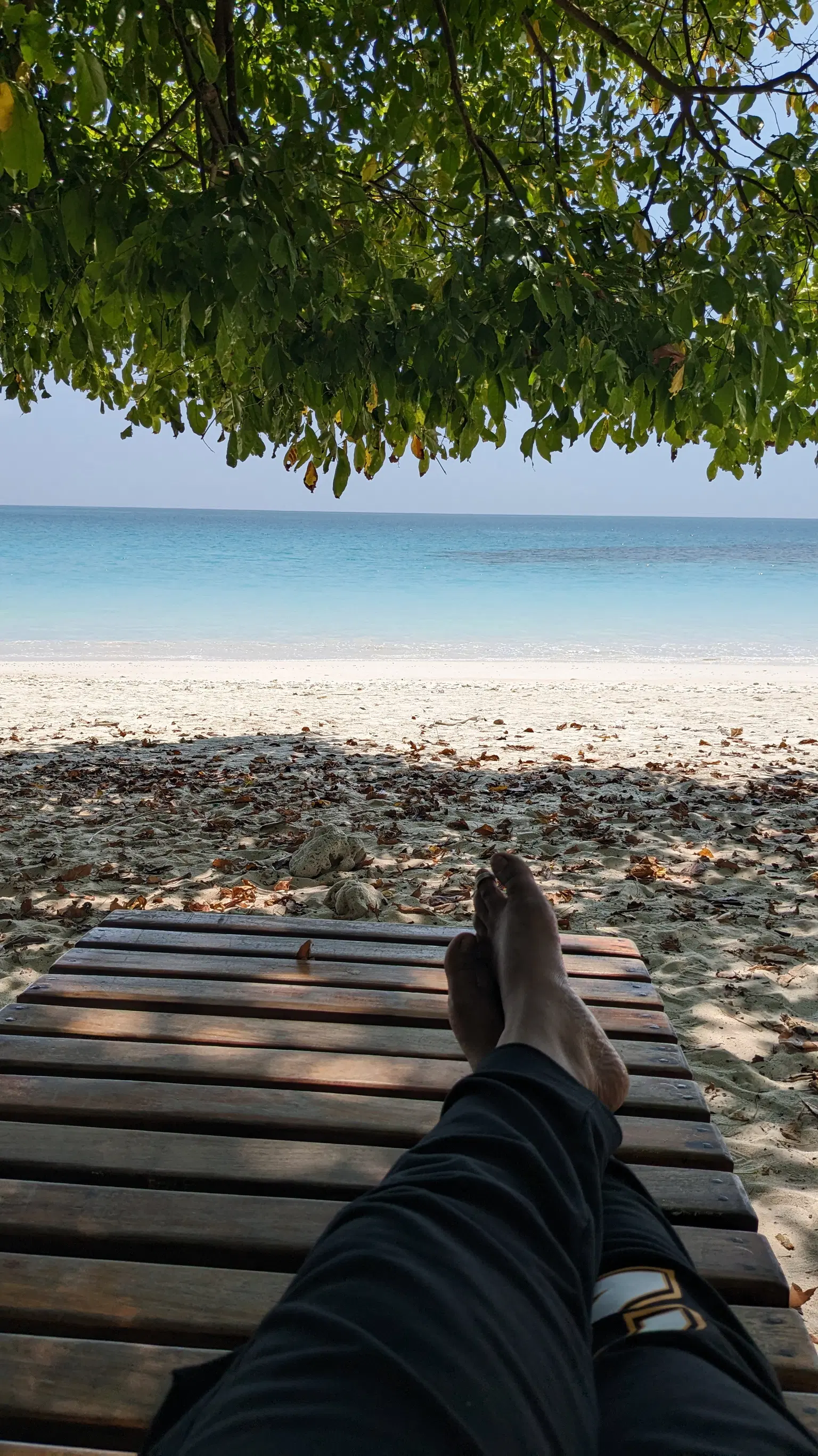 Photo from Monisha  Affrin's trip