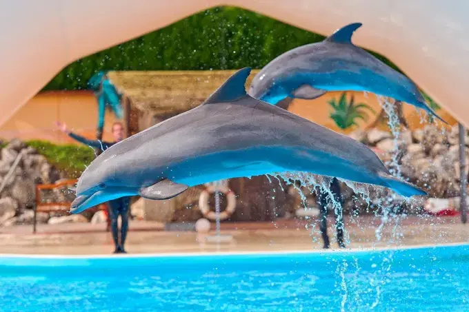 Dubai Dolphinarium