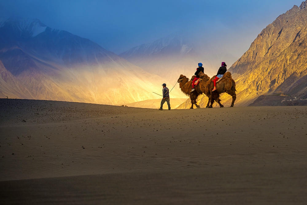 Riding a camel and soaking in the rustic charm of the Nubra valley in Ladakh