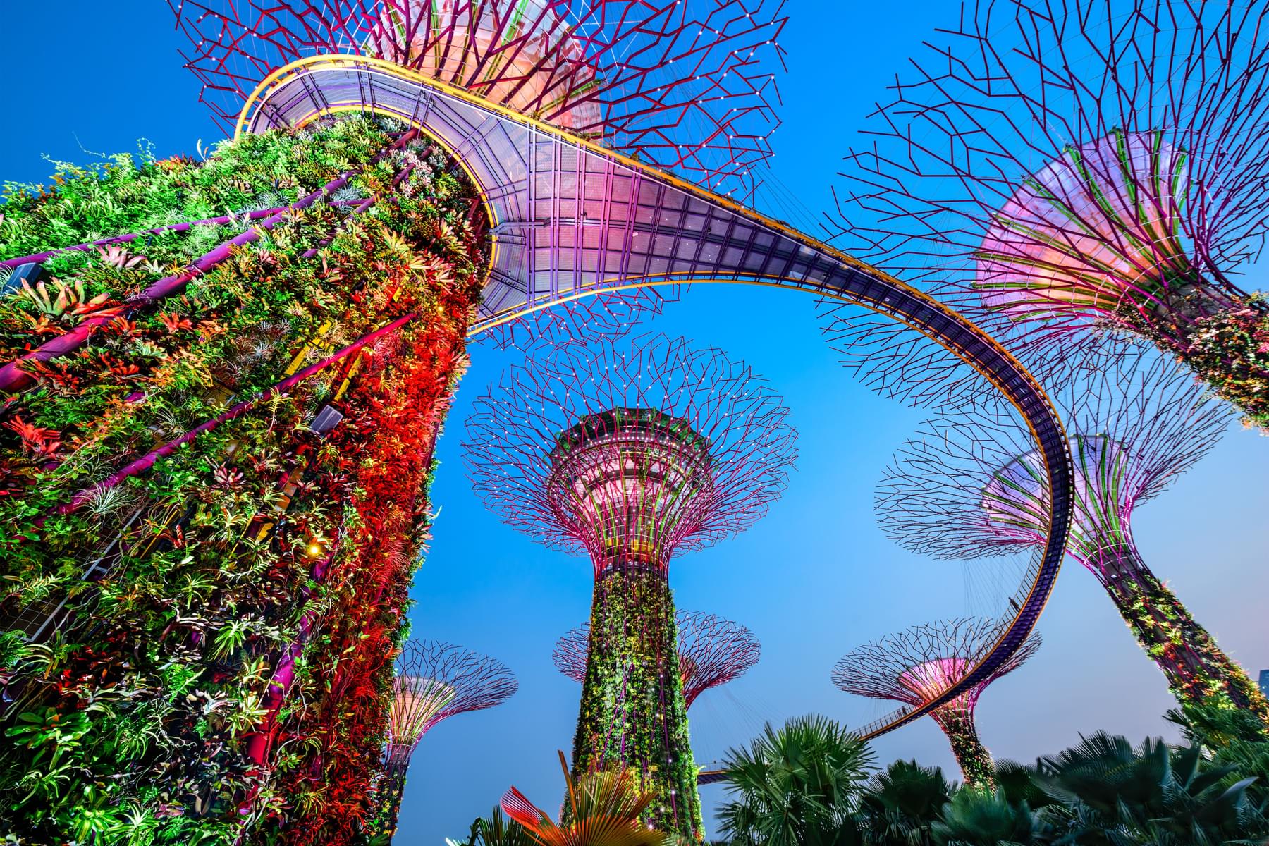 Gardens by the Bay + OCBC Skyway