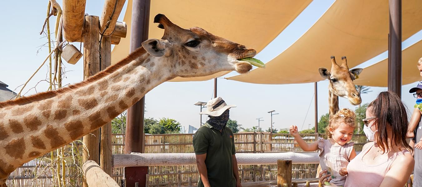 Dubai Safari Park