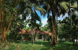 Exterior View of the homestay